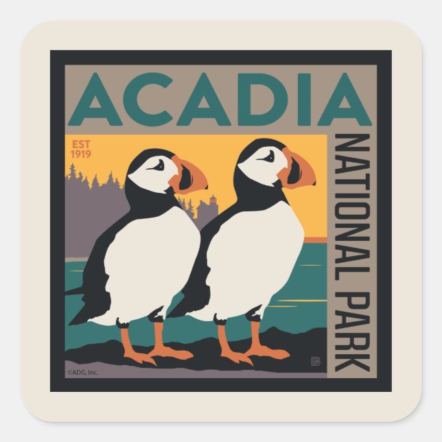 Pegatina Cuadrada Parque nacional Acadia, Maine | Puffins (Anverso)