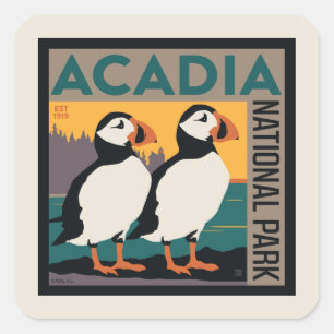 Pegatina Cuadrada Parque nacional Acadia, Maine   Puffins