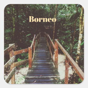 Pegatina Cuadrada Parque Nacional Bako - Borneo