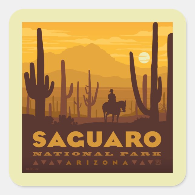 Pegatina Cuadrada Parque nacional de la Plaza Saguaro | Arizona (Anverso)