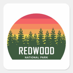 Pegatina Cuadrada Parque nacional Redwood