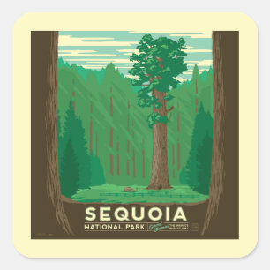 Pegatina Cuadrada Parque nacional Sequoia