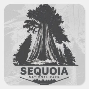 Pegatina Cuadrada Parque nacional Sequoia