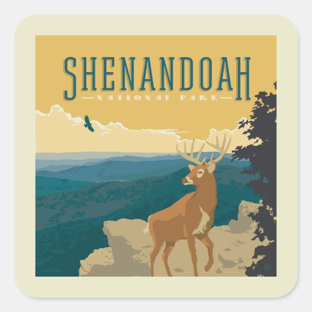Pegatina Cuadrada Parque nacional Shenandoah | Deer (Anverso)