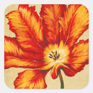 Pegatina Cuadrada Parrot Tulip II