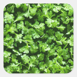 Pegatina Cuadrada Parsley
