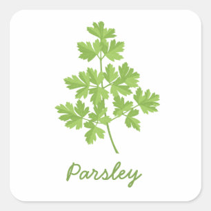 Pegatina Cuadrada Parsley