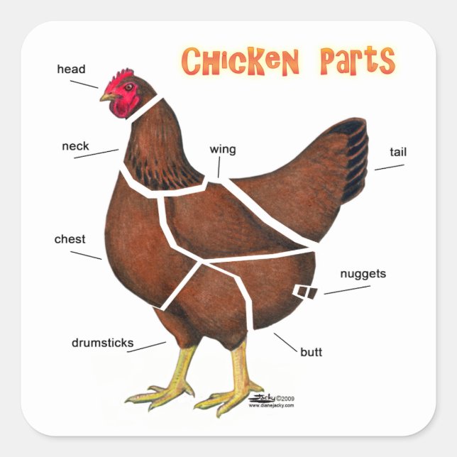Pegatina Cuadrada Partes de Pollo (Anverso)
