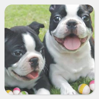 Pegatina Cuadrada Pascua Boston Terriers