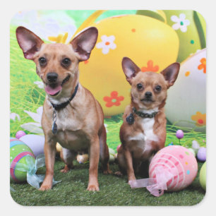 Pegatina Cuadrada Pascua - Chipin Rockwell - Chihuahua Rambo - Mahne