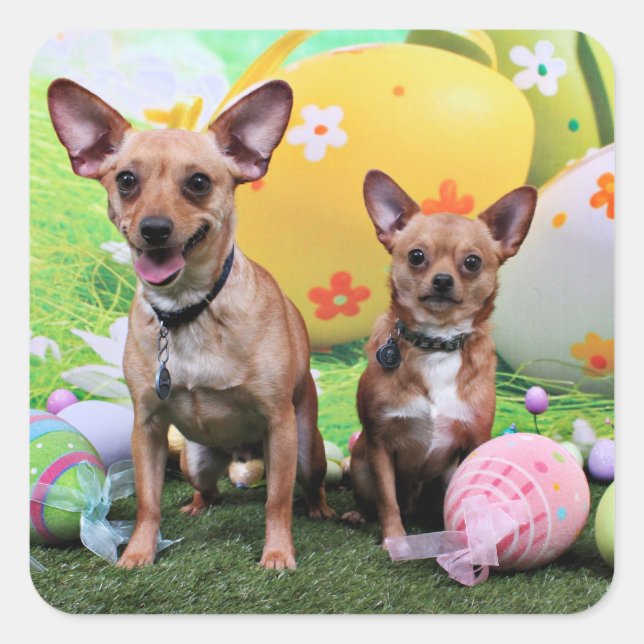 Pegatina Cuadrada Pascua - Chipin Rockwell - Chihuahua Rambo - Mahne (Anverso)