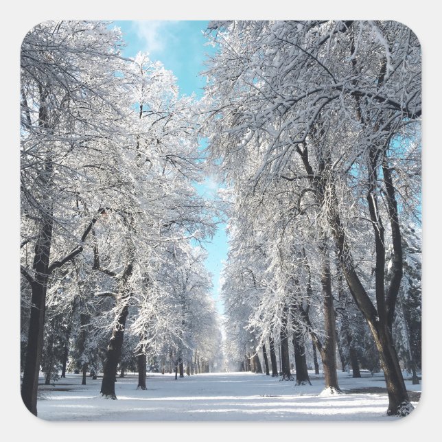 Pegatina Cuadrada paseo de invierno por el parque (Anverso)