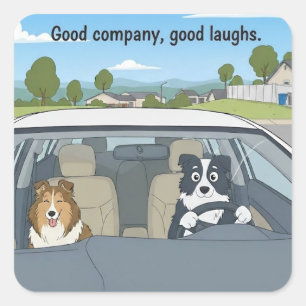 Pegatina Cuadrada Paseo en carretera de Sheltie y Border Collie