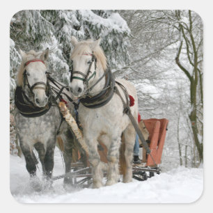 Pegatina Cuadrada Paseo en Sleigh en el bosque nevado