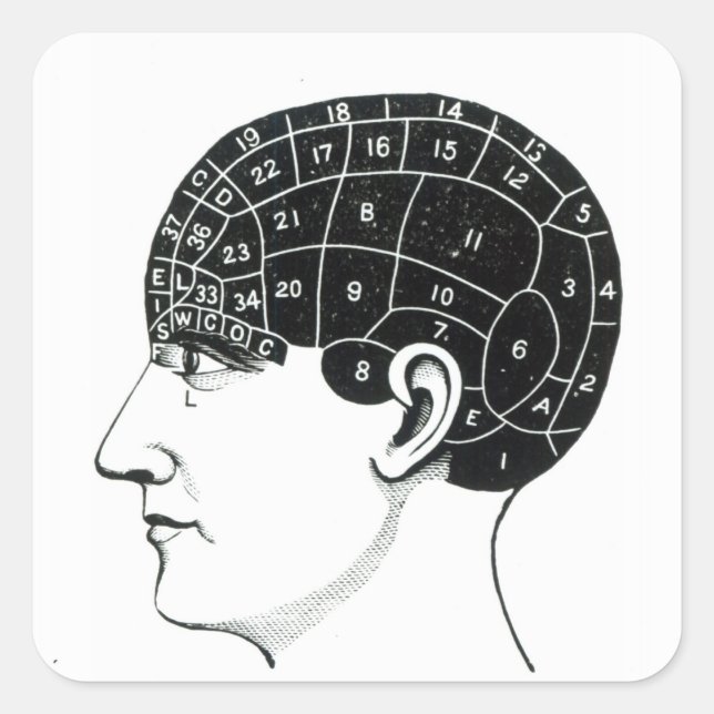 Pegatina Cuadrada Pasivos domésticos (Anverso)