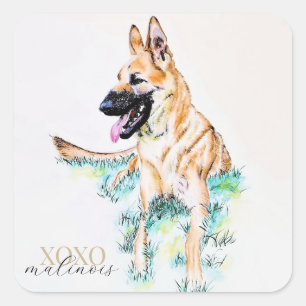 Pegatina Cuadrada Pastel al agua Pastor Alemán Malinois XOXO