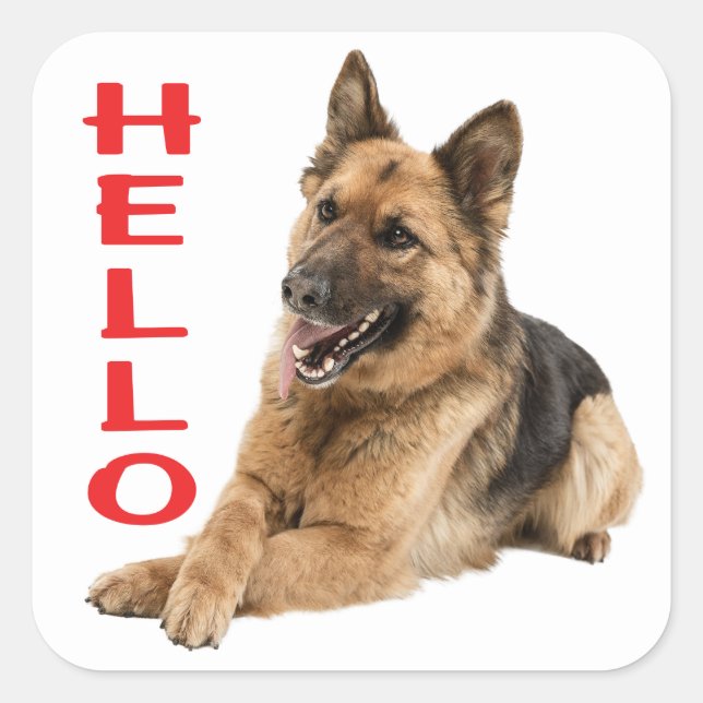 Pegatina Cuadrada Pastor alemán lindo Hola Perro de Cachorro (Anverso)