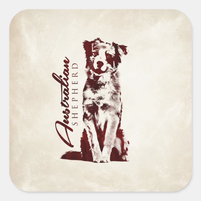 Pegatina Cuadrada Pastor australiano Aussie (Anverso)