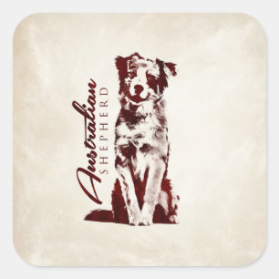 Pegatina Cuadrada Pastor australiano Aussie