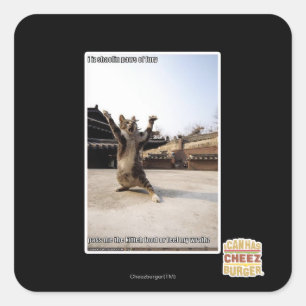 Pegatina Cuadrada Patas del shaolin del iz I de la furia