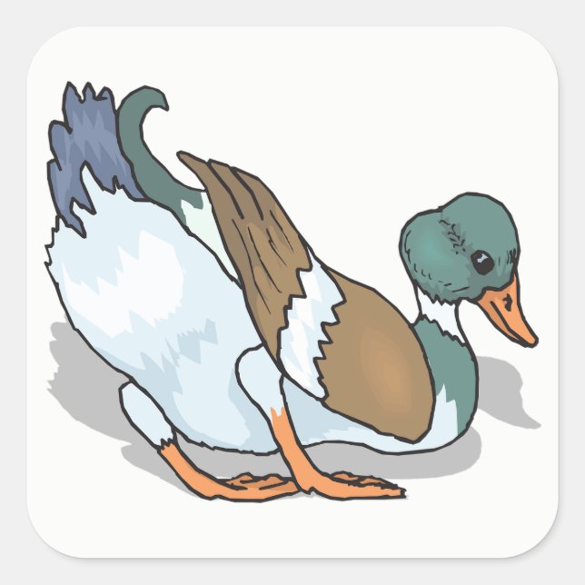 Pegatina Cuadrada Pato (Anverso)