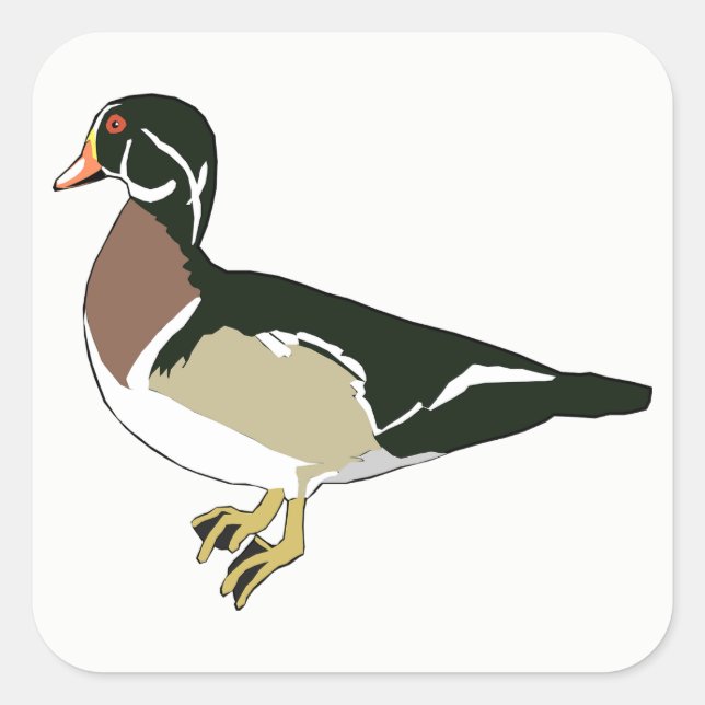 Pegatina Cuadrada Pato (Anverso)