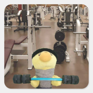 Pegatina Cuadrada Pato Danny en el gimnasio