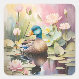 Pegatina Cuadrada Pato de pintura acuarela sobre un estanque
