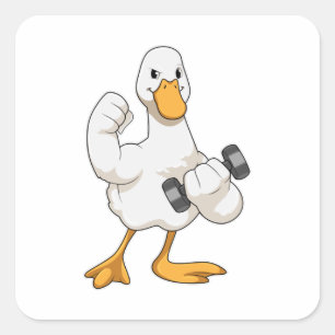 Pegatina Cuadrada Pato en Bodybuilding con Dumbbell