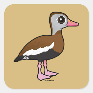 Pegatina Cuadrada Pato silbante birdorable de barriga negra