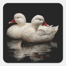 Pegatina Cuadrada Patos