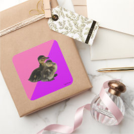 Pegatina Cuadrada Patos de bebé de frambuesa rosa y sorbete morado