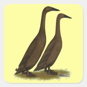 Pegatina Cuadrada Patos del corredor del chocolate