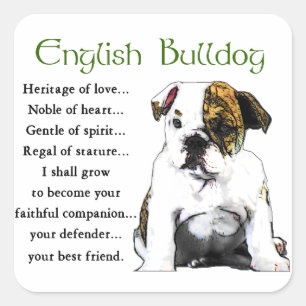Pegatina Cuadrada Patrimonio de amor en el Bulldog inglés