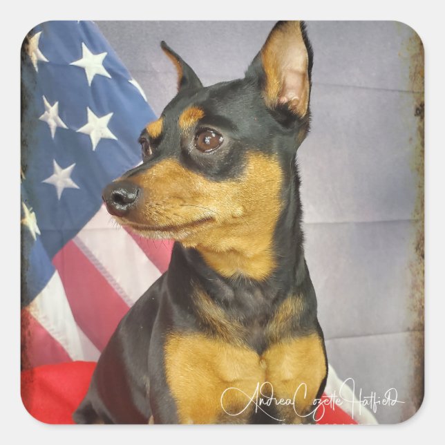 Pegatina Cuadrada Patriotic MinPIn (Anverso)