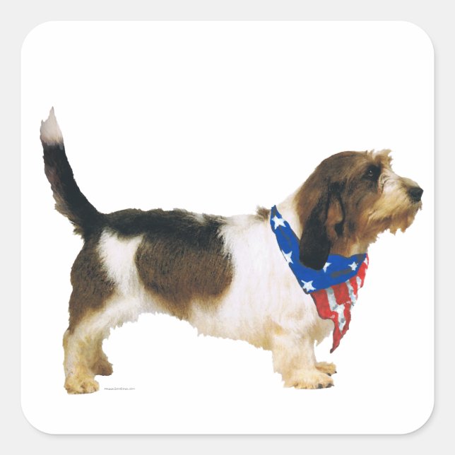Pegatina Cuadrada Patriotic Petit Basset Griffon Vendeen (Anverso)