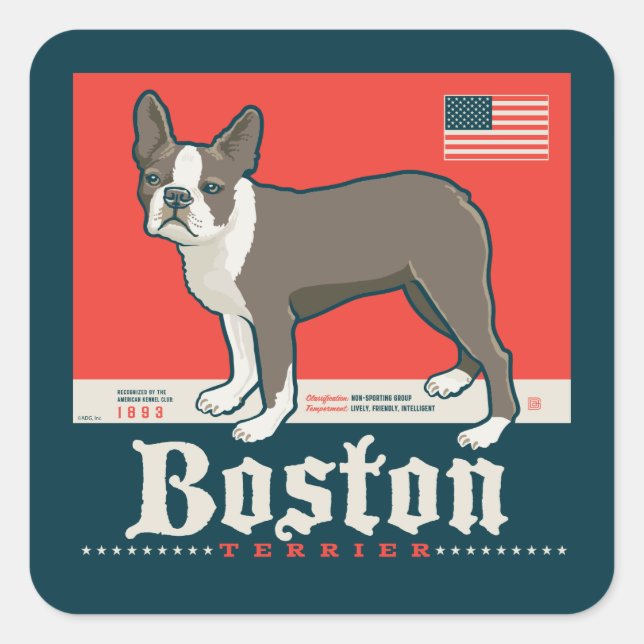 Pegatina Cuadrada Patriótico | Boston Terrier (Anverso)