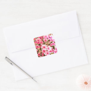 Pegatina Cuadrada Patrón de Flor de Floración Rosa - Diseño Botánico