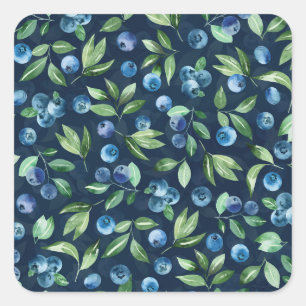 Pegatina Cuadrada Patrón de fondo oscuro de arándano azul acuático