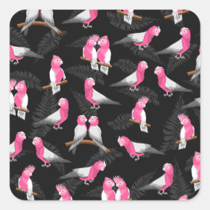 Pegatina Cuadrada Patrón de pájaros de cacatúa rosa