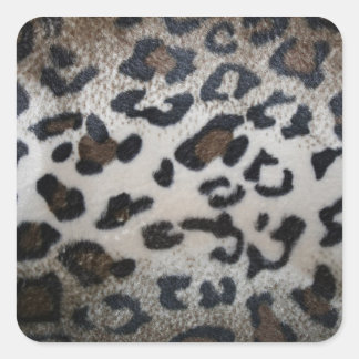 Pegatina Cuadrada Patrón de piel de leopardo