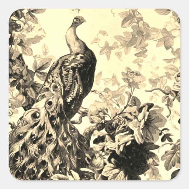 Pegatina Cuadrada Patrón de toile elegante y floral de pavo real vic (Anverso)