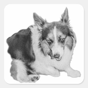 Pegatina Cuadrada Patrulla de refrigerios