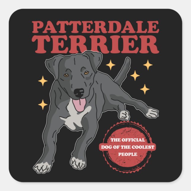 Pegatina Cuadrada Patterdale Terrier Dog Of The Coolest Patterdales (Anverso)