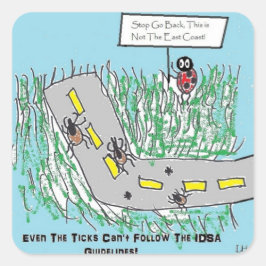 Pegatina Cuadrada Pautas para la enfermedad de Lyme de IDSA