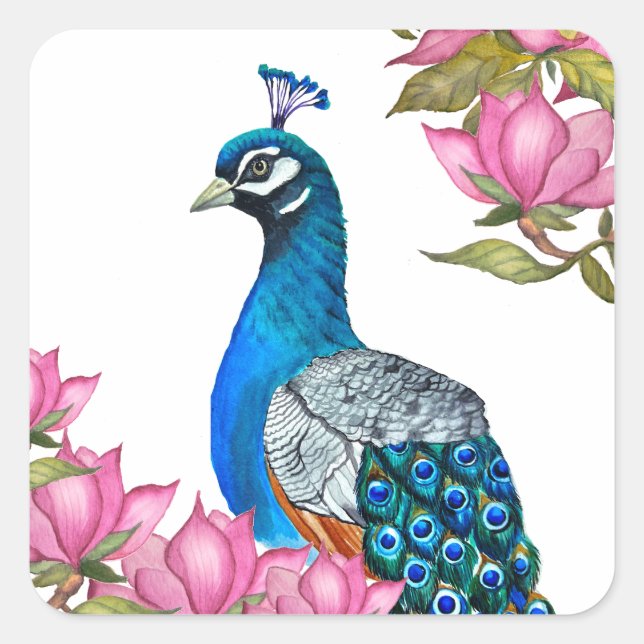 Pegatina Cuadrada Pavo de agua (Anverso)