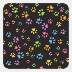 Pegatina Cuadrada Paws
