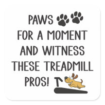 Paws & Witness this Treadmill Pros