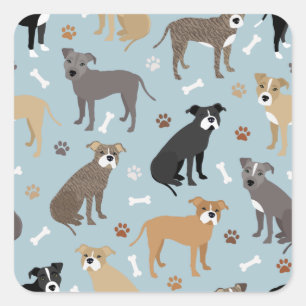 Pegatina Cuadrada Paws y huesos de Pitbull