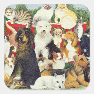 Pegatina Cuadrada Paz del navidad